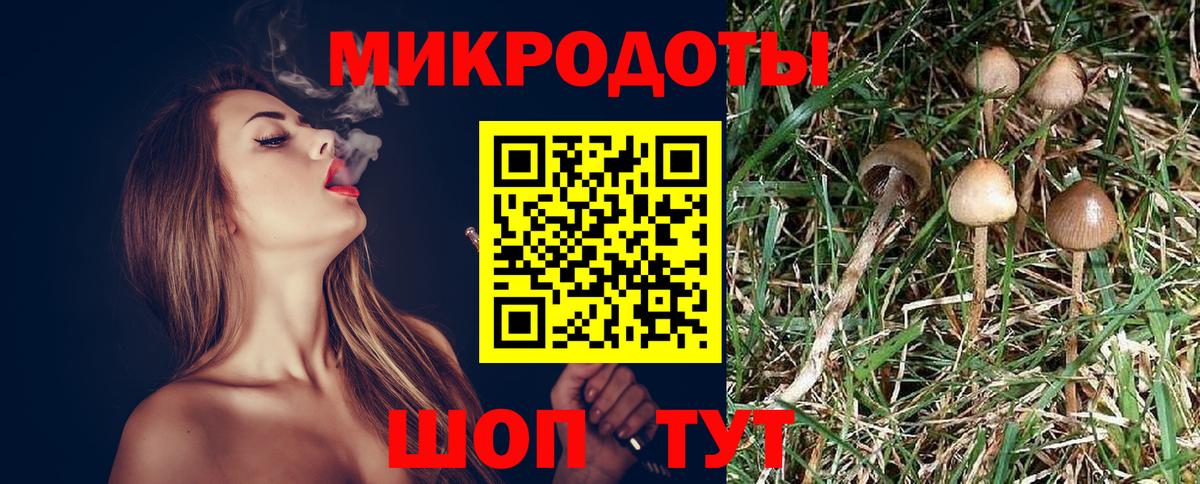 Псилоцибиновые грибы мицелий Новокуйбышевск