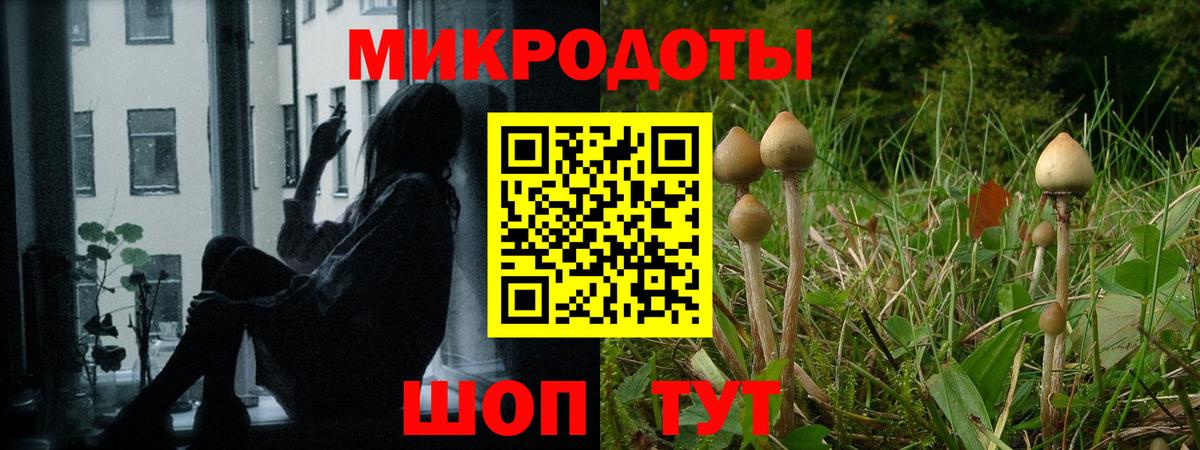 Псилоцибиновые грибы Psilocybe  Вход с VPN  Новокуйбышевск  Псилоцибиновые грибы MAGIC MUSHROOMS 
